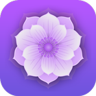 Mandala Designer ícone