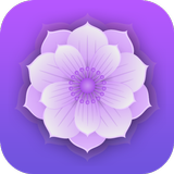 Mandala Designer ícone