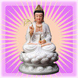 觀世音菩薩 APK