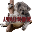 動物の音 APK