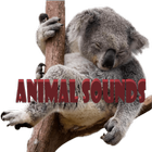 Hayvan Sesleri simgesi