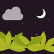 助眠神器 - 白噪音：蝉、雨、风、放松冥想