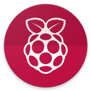 Pi Config APK