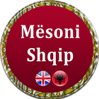 Learn Albanian Offline icône