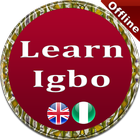 Learn Igbo Language Offline icône