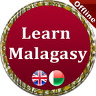 Learn Malagasy icono