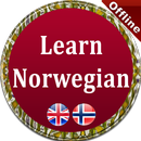Learn Norwegian Grammar APK