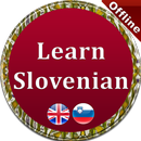 Slovenian Grammar APK