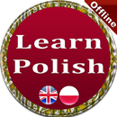 Learn Polish Grammar APK