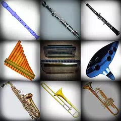 Baixar Todos Instrumentos Virtuais 2 APK