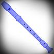 Virtual Flute