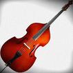 Virtual Cello