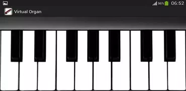 Virtual Organ