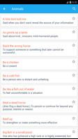 English Phrases & Idioms Meaning Dictionary imagem de tela 3