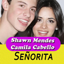 Senorita Shawn Mendes songs - Offline APK