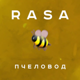 RASA Пчеловод песни Не Онлайн icon