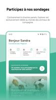 Explorer Affiche