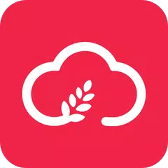 雲麥 APK 下載