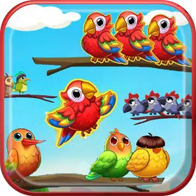 Bird Sort – Bird Match