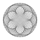 Circular Modular Multiplicatio APK