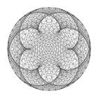 Circular Modular Multiplicatio icon