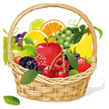 Fruit Catch