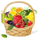 Fruit Catch APK