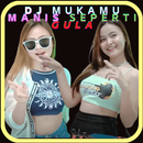 DJ DEVIL INSIDE ME 2023 APK