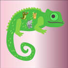 Chameleon Pattern Match Game 图标
