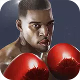 Punch Boxing 3D APK
