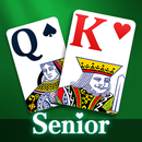 Solitaire: Big Card Games APK