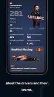 F1 SAGP スクリーンショット 3