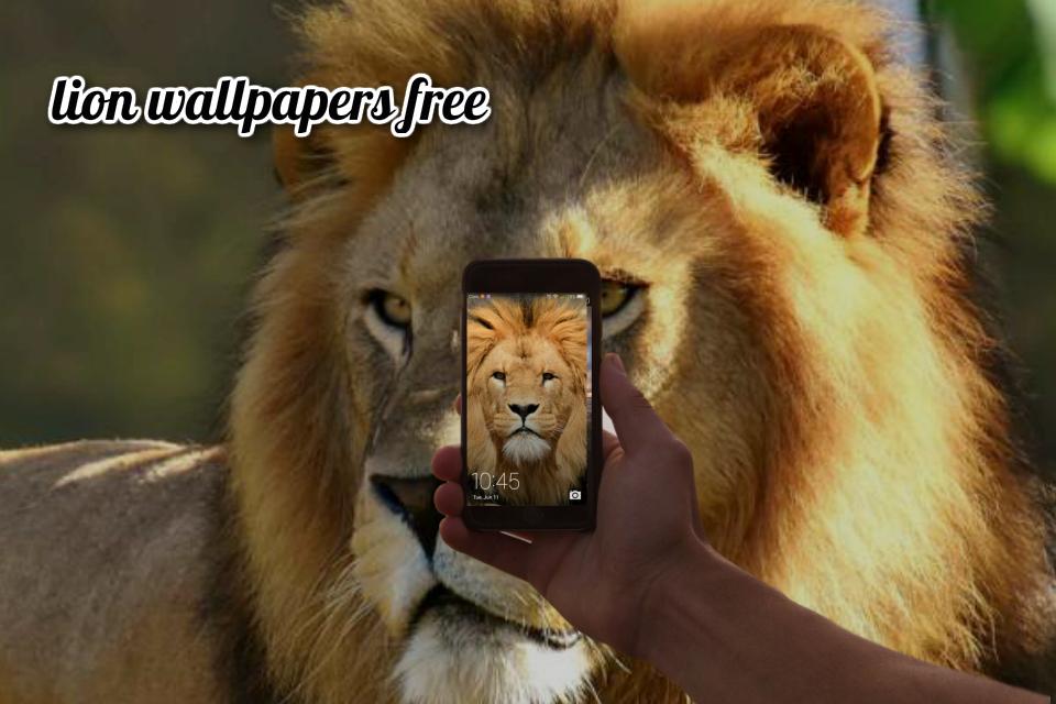 Fond Décran Lion Pour Android Téléchargez Lapk