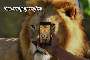 狮子 / lion wallpaper app 海報