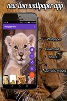 狮子 / lion wallpaper app 截圖 3