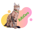KikiCare