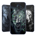 Cute Wolf Wallpaper HD