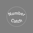 NumberCatch aplikacja