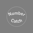 Icona NumberCatch
