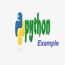 Python Programs APK