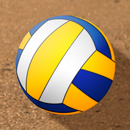 Beach Volleyball Game - 3D Volleyball Tournament APK