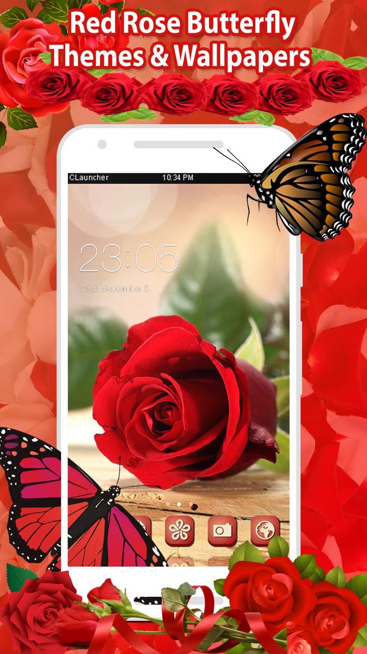 红玫瑰蝴蝶鲜花主题和壁纸安卓下载 安卓版apk 免费下载