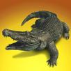 Nile Crocodile Survival APK