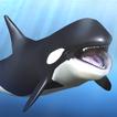 ”Orca  and marine mammals