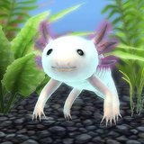 My Axolotl Aquarium APK