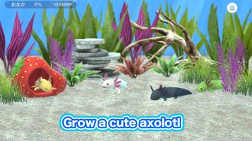 My Axolotl Aquarium Cartaz