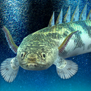 My ancient fish Aquarium APK