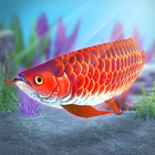 My Asian arowana Aquarium आइकन