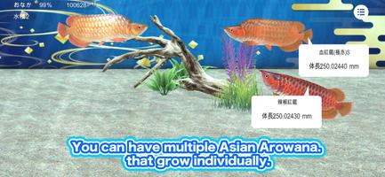 My Asian arowana Aquarium स्क्रीनशॉट 2