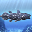 Coelacanth and ancient fish APK